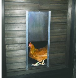 DR T/ELHEJS T. ALM.HNS