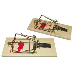 Museflde smk tr 2 stk