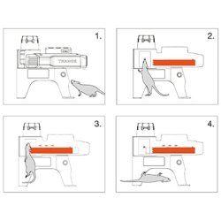 Rotte- Musef�lde Genopl. MK47 Ryom