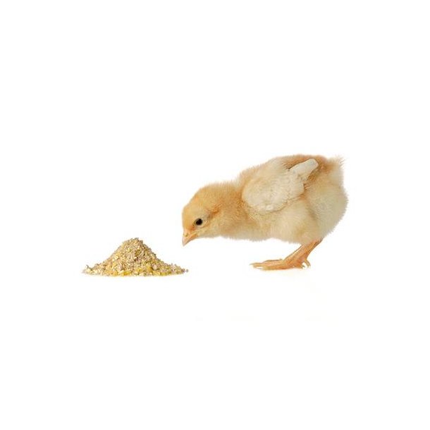 Kyllekr�s 1, Fuldfoder til levekyllinger