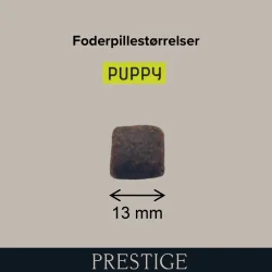 Prestige Puppy Medium
