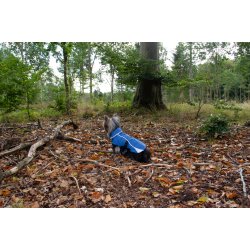 Companion Vind- og vandtt hundejakke