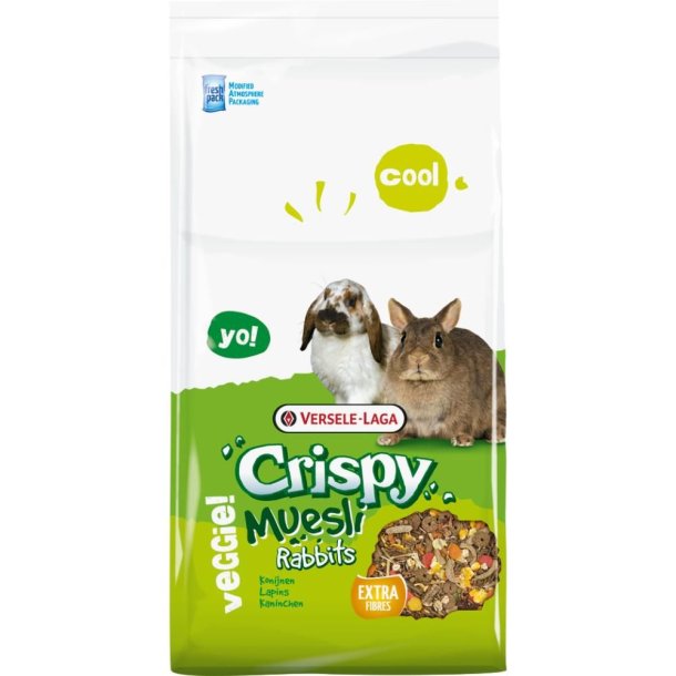 Crispy Muesli Rabbits