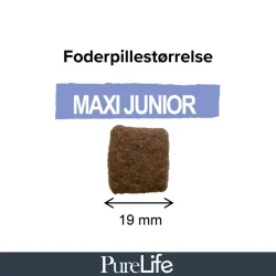 Purelife Maxi Junior - Kornfrit Juniorfoder