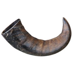 Trixie Buffalo tygge horn