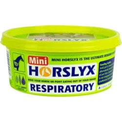 Horslyx Mini Sliksten (Forskellige smage)