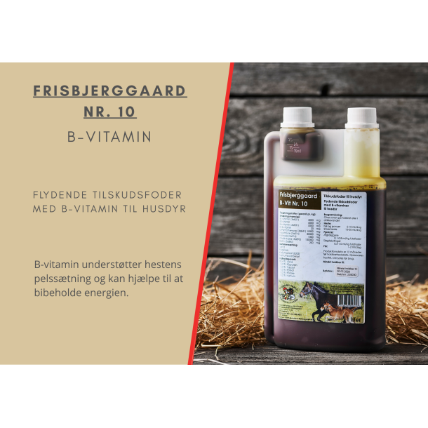 Frisbjerggaard Nr. 10, B-vit.
