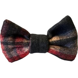 Companion XMAS butterfly