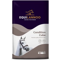 Equilannoo Condition Cube