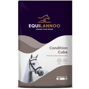 Equilannoo Condition Cube