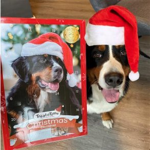 Julekalender Hund m/4 varianter