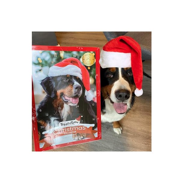 Julekalender Hund m/4 varianter