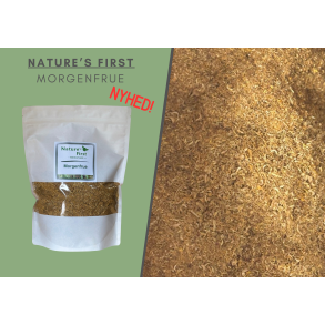 Nature's First, Morgenfrue