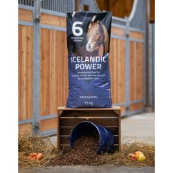 Brogaarden Optimal #6, Icelandic Power