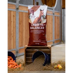 Brogaarden Optimal #1, Growth Balancer