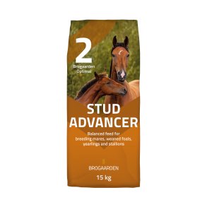 Brogaarden Optimal #2 Stud Advancer