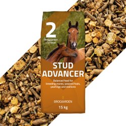 Brogaarden Optimal #2 Stud Advancer