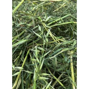 Kanin og gnaver kunstt�rret havre h� i pose 3,5 kg