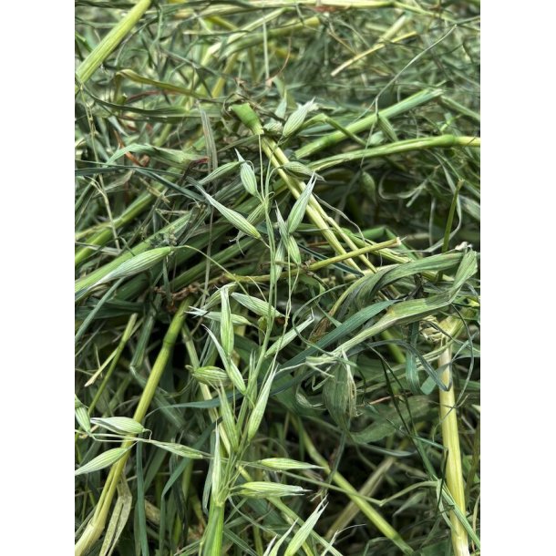 Kanin og gnaver kunstt�rret havre h� i pose 3,5 kg