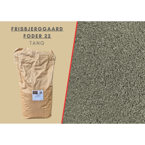 Frisbjerggaard nr. 22, Tang