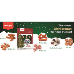 Wanpy Christmas Julekalender Hund