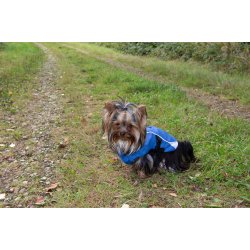 Companion Vind- og vandtt hundejakke