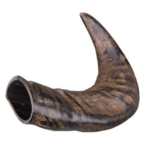 Trixie Buffalo tygge horn