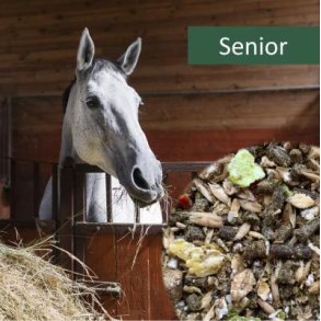 HorsePro Senior - 20 kg