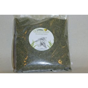 Gullstein Islandsk tang