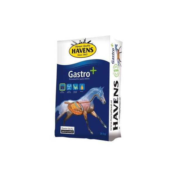 Gastro +, 20 kg, Havens