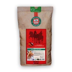 Salvana Icelandic Balance 