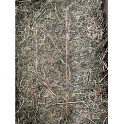 Sm h baller "morten koch"